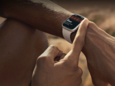 Espera-se que o Apple Watch X tenha um novo recurso de rastreamento de saúde. (Fonte da imagem: Apple)