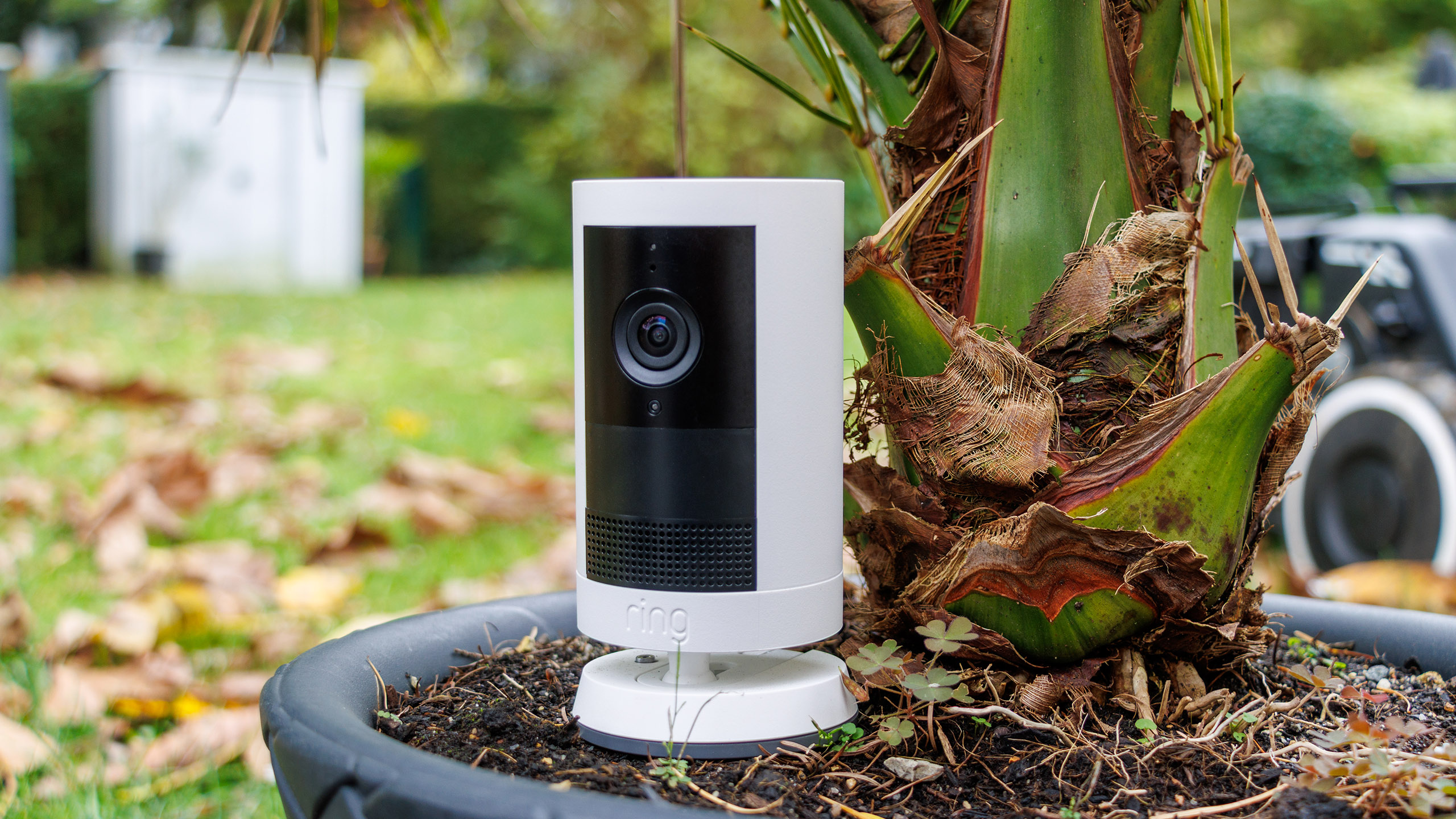 (Fonte da imagem: Daniel Schmidt)