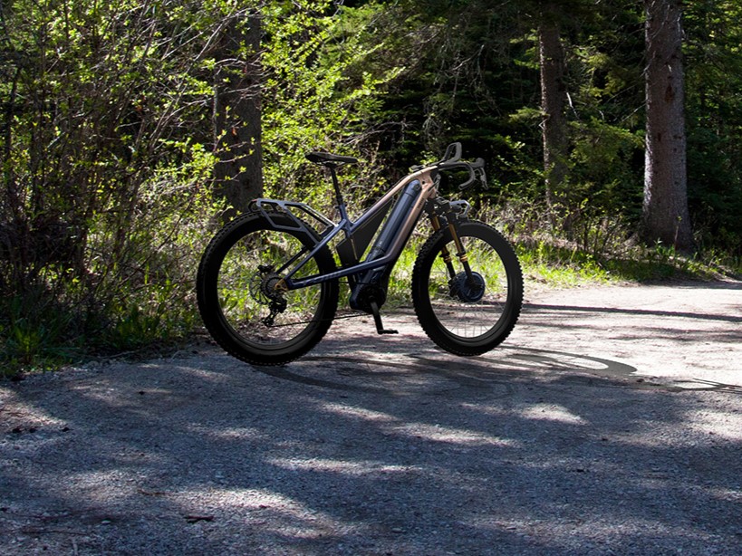 Motores store e bike