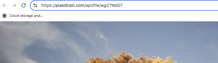 A maneira mais fácil de começar a usar o PixelDrain é carregar arquivos em My Files. Como resultado, o senhor obterá um link como o da imagem acima. Embora não seja um hotlinking adequado, isso ainda é melhor do que o que a maioria das plataformas concorrentes oferece (Fonte da imagem: Notebookcheck)