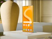O Samsung Galaxy S26 Ultra está supostamente recebendo uma nova tela que reforça a privacidade. (Fonte da imagem: TT Technology)