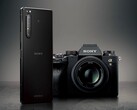 A Sony começou a emitir Android 12 para o Xperia 1 II e Xperia Pro nos EUA. (Fonte de imagem: Sony)