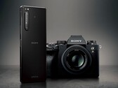 A Sony começou a emitir Android 12 para o Xperia 1 II e Xperia Pro nos EUA. (Fonte de imagem: Sony)