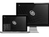 O Linux Mint é uma ótima maneira de começar no mundo Linux. (Fonte da imagem: Linux Mint)