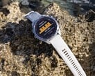 O software de sistema 22.07 chegou para os computadores de mergulho Descent Mk3 e Mk3i (foto). (Fonte da imagem: Garmin)