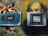 O processador Tiger Lake Intel Core i5-11400H tem que competir contra o processador Cezanne Zen 3 AMD Ryzen 5 5600H. (Fonte de imagem: Intel/AMD/Pinterest/Wikimedia - editado)