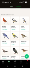 Detalhamento das visitas de aves