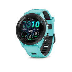 (Fonte da imagem: Garmin via Gadgets para usar)