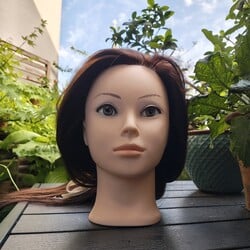 Câmera selfie traseira