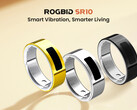 O Rogbid SR10 é lançado a um preço com desconto de US$ 99,99 (Fonte da imagem: Rogbid)