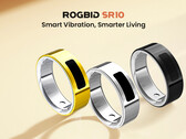 O Rogbid SR10 é lançado a um preço com desconto de US$ 99,99 (Fonte da imagem: Rogbid)