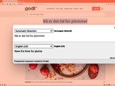 Vivaldi 4.2 in-browser tradução privada em ação (Fonte: Vivaldi Browser)
