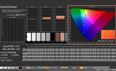 CalMAN: ColorChecker (calibrado)