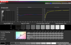 CalMAN Grayscale (Escala de cinza)