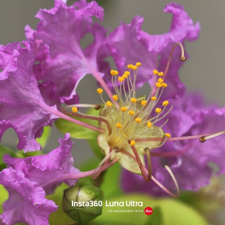 Tirei esta foto com zoom digital de 12x