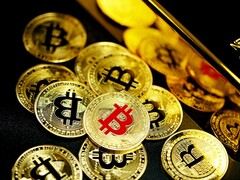 A maioria dos milionários americanos é investida em moedas criptográficas incluindo Bitcoin, Ethereum e meme coins como Shiba Inu e Dogecoin (Imagem: Executium)