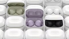 O Galaxy Buds 2 estará disponível em quatro cores. (Fonte da imagem: WalkingCat)