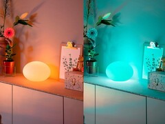Espera-se que a Philips Hue lance uma versão atualizada da luminária de mesa Flourish (foto) em um futuro próximo. (Fonte da imagem: Philips Hue)