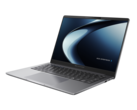 Uma nova variante do Asus ExpertBook P3 foi anunciada (fonte da imagem: Asus)