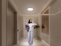 A luz de teto inteligente D20 da Xiaomi. (Fonte da imagem: Xiaomi)