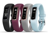 O Vivosmart 4. (Fonte da imagem: Garmin)