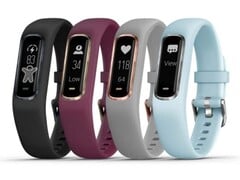 O Vivosmart 4. (Fonte da imagem: Garmin)