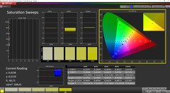 CalMAN Saturação calibrada (AdobeRGB target color space)