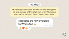 As reações chegam ao WhatsApp. (Fonte: WhatsApp)