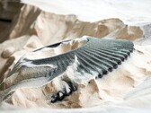 Uma peça automotiva impressa em areia usando jato de aglutinante (Fonte da imagem: ExOne)