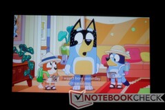 Programas coloridos, como desenhos animados, têm um visual brilhante e marcante (Show: Bluey)