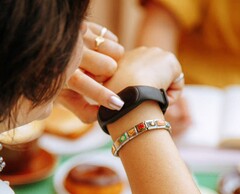 A Bee oferece uma pulseira de IA econômica com dois microfones. (Fonte da imagem: Bee)