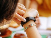 A Bee oferece uma pulseira de IA econômica com dois microfones. (Fonte da imagem: Bee)