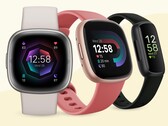 O Google começou a racionalizar o aplicativo Fitbit com o objetivo de acrescentar mais funcionalidades em uma data posterior. (Fonte de imagem: Fitbit)