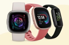 O Google começou a racionalizar o aplicativo Fitbit com o objetivo de acrescentar mais funcionalidades em uma data posterior. (Fonte de imagem: Fitbit)