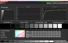 CalMAN Grayscale (Escala de cinza)