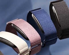 O Garmin CIRQA está disponível em quatro cores.