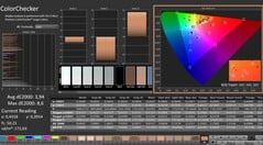 CalMAN: ColorChecker (DCI-P3)