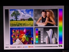 Amplos ângulos de visão do OLED
