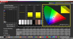CalMAN ColorChecker (perfil: Nativo, espaço de cor alvo: P3)