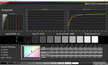 Escalas de cinza (True Tone: desativado, espaço de cor de destino: sRGB)