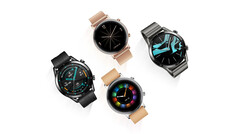 O Huawei GLL-AL04 smartwatch parou na CEE. (Fonte da imagem: Huawei)