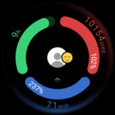 Progress monitor and daily log