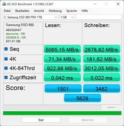 Pontuações abaixo da média no AS SSD para um 980 Pro.
