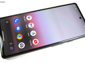 Alguns usuários do Google Pixel 6a tiveram problemas graves após a última atualização de software (Fonte da imagem: Notebookcheck)