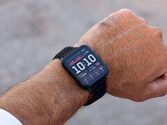 O Venu X1 custa quase tanto quanto os recentes smartwatches Garmin Fenix e Forerunner. (Fonte da imagem: Garmin)