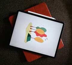 Parece que o Apple está preparando as bases para o próximo lançamento do iPad com o iPadOS 17.5. (Fonte da imagem: Tony Sebastian)