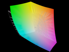 O painel cobre 95,5% do espaço de cores AdobeRGB