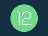 Android 12 já é popular. (Fonte: Android)