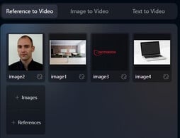 Nossas imagens de referência (fonte da imagem: captura de tela no Vidu.com)