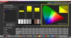 CalMAN ColorChecker calibrado